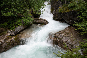 Beautiful river on the Great Glacier Trail, in Glacier National Park, British Columbia