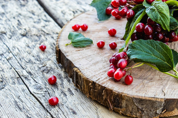 Closeup of red viburnum berries and green leaves on a wooden table. Viburnum on a wooden...