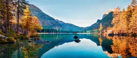 Foto op Plexiglas Fantastisch herfstpanorama op het Hintersee-meer. Kleurrijke ochtendmening van Beierse Alpen aan de Oostenrijkse grens, Duitsland, Europa. Schoonheid van de natuur concept achtergrond. © Andrew Mayovskyy
