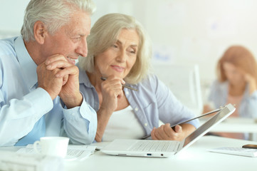 Portrait of successful senior businesspeople working together in modern office