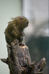 Oasi di Sant'Alessio (PV)