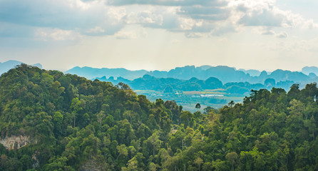 Fototapeta premium scenic view to rain forest in Krabi Thailand
