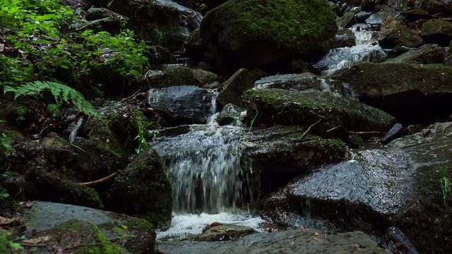 Wasserfall im Wald