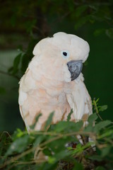 Oasi di Sant'Alessio (PV)