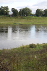 riverbank in the countryside on a summer day