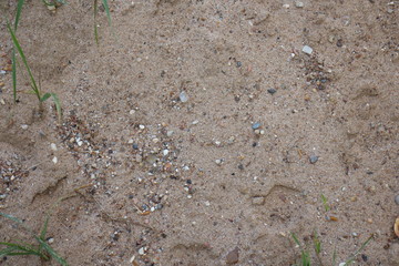 sand with small pebbles close-up