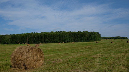 Nature of the Urals in Russia in early Autumn