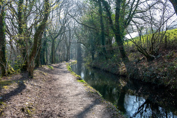Towpath beside the old Tavistock Canal which was constructed in the early 19th century to link the town of Tavistock with Morwhellam Quay on the river Tamar.