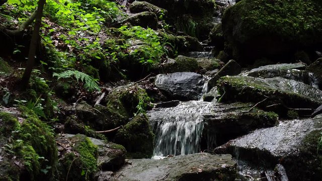 Wasserfall im Wald