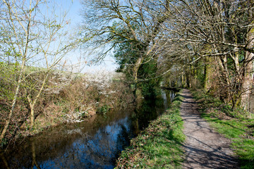 Towpath beside the old Tavistock Canal which was constructed in the early 19th century to link the town of Tavistock with Morwhellam Quay on the river Tamar.