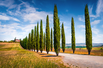 Classic Tuscan view with farmhouse and cypress trees. Colorful summer view of Italian countryside,...