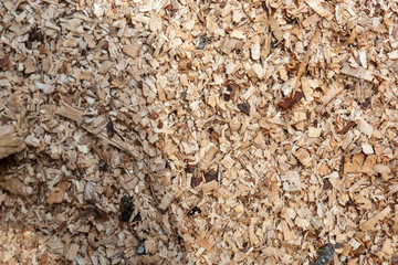 coperau de bois