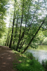 Obraz premium Eisweiher bei Pirmasens