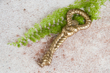 Antique brass bottle-opener on concrete background