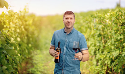 Naklejka na ściany i meble Man at vineyard welcoming tourists - Wine tasting tours in a vineyard