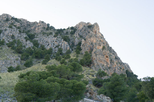 Beautiful alpine landscape, green mountain enviroment and blue sky in a sunny day