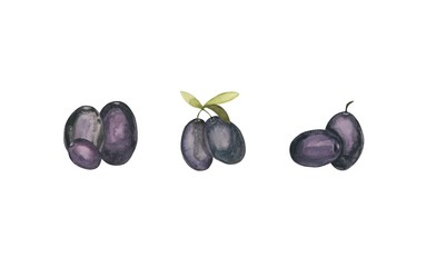 Watercolor set of black olives. Drawn in watercolor by hand. Great for all types of design.