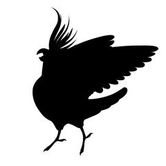 Black silhouette adult parrot of normal grey cockatiel looking on you and flapping its wing (Nymphicus hollandicus, corella) cartoon bird design flat vector illustration isolated on white background