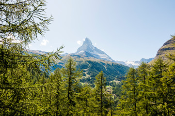 Zermat, Matterhorn, Zmuttgletscher, Gletscher, Furggsattel, Zmutt, Alpen, Wallis, Sommer, Schweiz