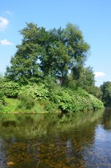Fototapeta premium Idyllische Flusslandschaft im Sommer