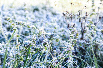 Gramado is a tourist city of Rio Grande do Sul in Brazil