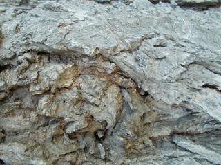  Wood texture for your design