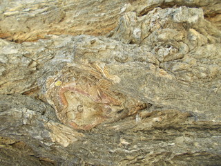  Wood texture for your design