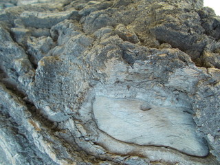  Wood texture for your design