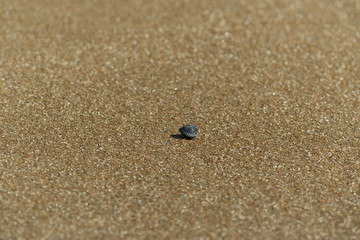 sand texture close up, coast