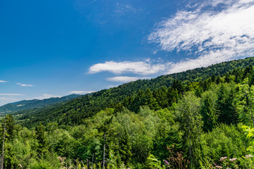Obraz premium landscape of mountain slopes covered with forests and blue sky,focus plane in the center.Haute-Savoie in France.