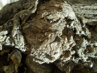  Wood texture for your design