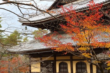 Fototapeta premium Kyoto autumn foliage