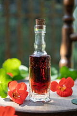 Herbal tincture with fresh garden nasturtium flowers