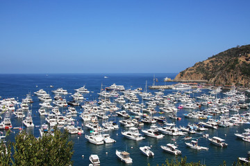 Die Avalon Bay.  Santa Catalina Island. Kalifornien.  © Liudmila Travina