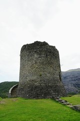 Castle Ruins Isolated on a Hill 