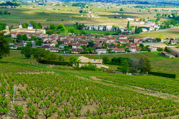Vineyards and countryside in Beaujolais, with the village Saint-Lager