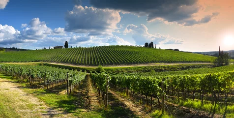 Poster prachtige wijngaard op het Toscaanse platteland bij zonsondergang met bewolkte hemel in Italië. © Dan74