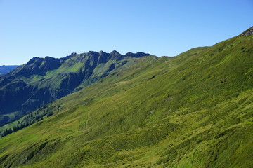 Fototapeta na wymiar grüne Hügel, Berghänge in Alpbach