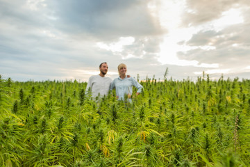 Man and woman proudly standing in their marijuana CBD hemp plants field.