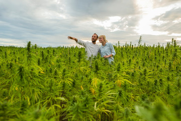 Man showing CBD hemp farm to a woman.