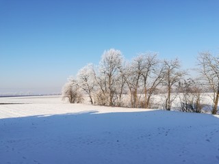 winter landscape with trees and blue sky
