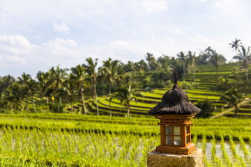 Fototapeta na wymiar Small altar at rice fields of Jatiluwih in southeast Bali