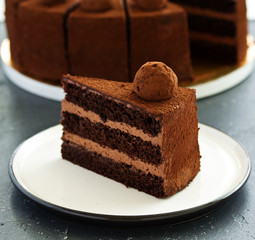 Chocolate cake. A slice of chocolate cake. Selective focus