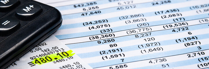 Business composition. Financial analysis - income statement, business plan