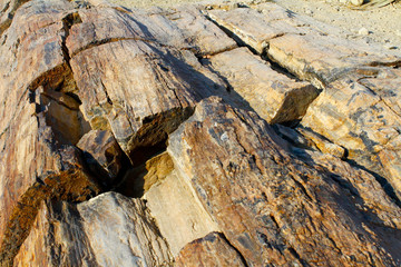 Petrified Forest, Natural Reserve in Namibia