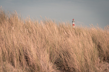 Lighthouse Bornrif Ameland, sea landscape, clear blue cloudy sky in the dunes, high dune grass, postcard, background, the Netherlands
