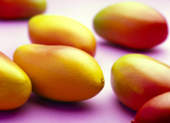 Whole Mangoes against purple background