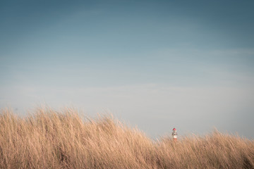 Obraz premium Lighthouse Bornrif Ameland, sea landscape, clear blue cloudy sky in the dunes, high dune grass, postcard, background, the Netherlands