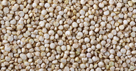 Organic quinoa seeds macro background and texture, top view