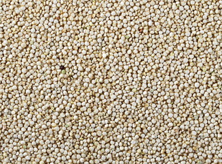 Organic quinoa seeds background and texture, top view